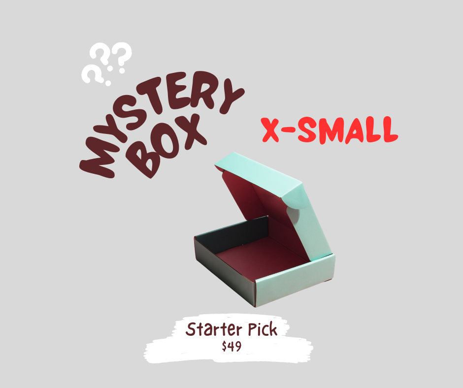 'The Starter Pick' Mystery Bundle