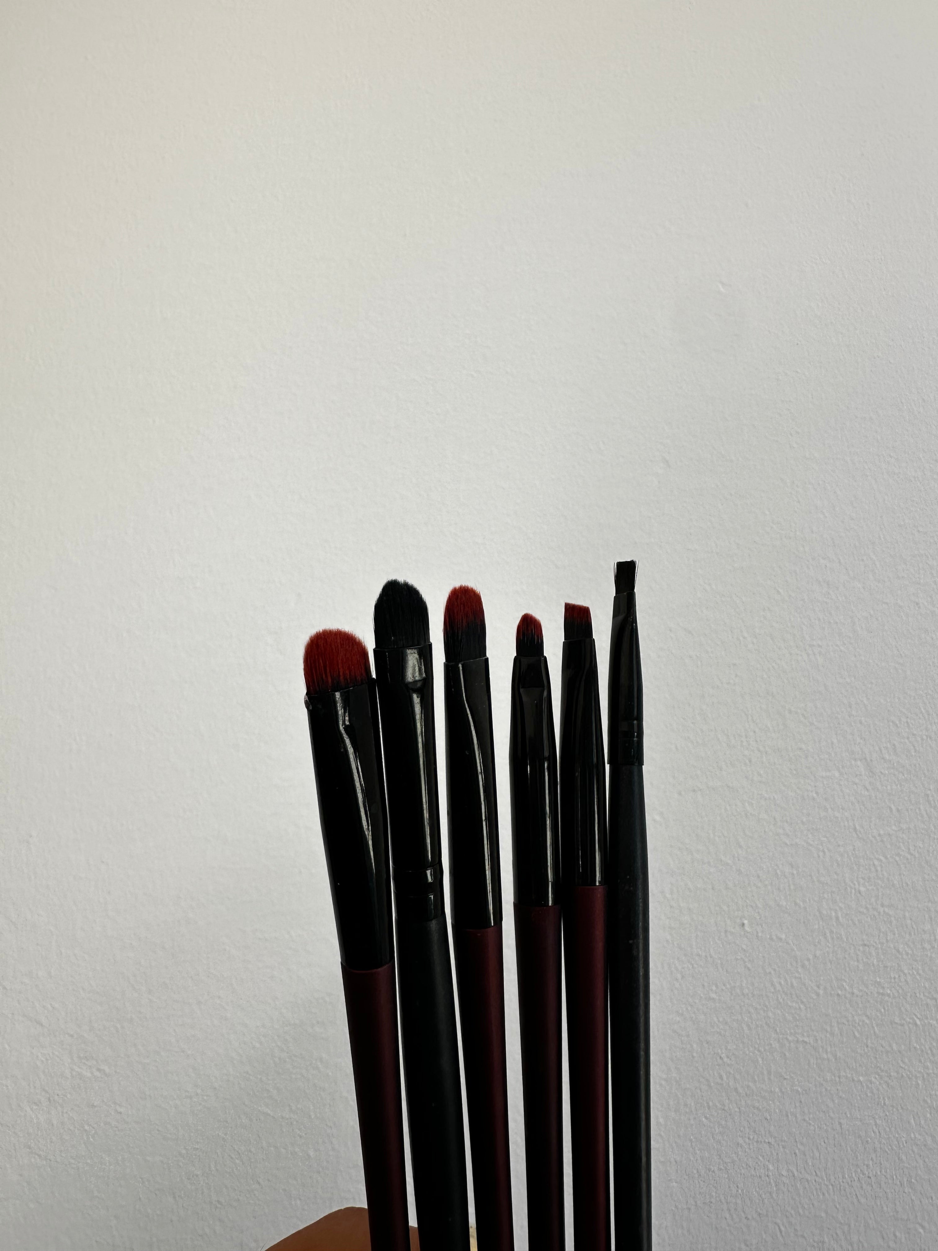 5 Makeup Brushes