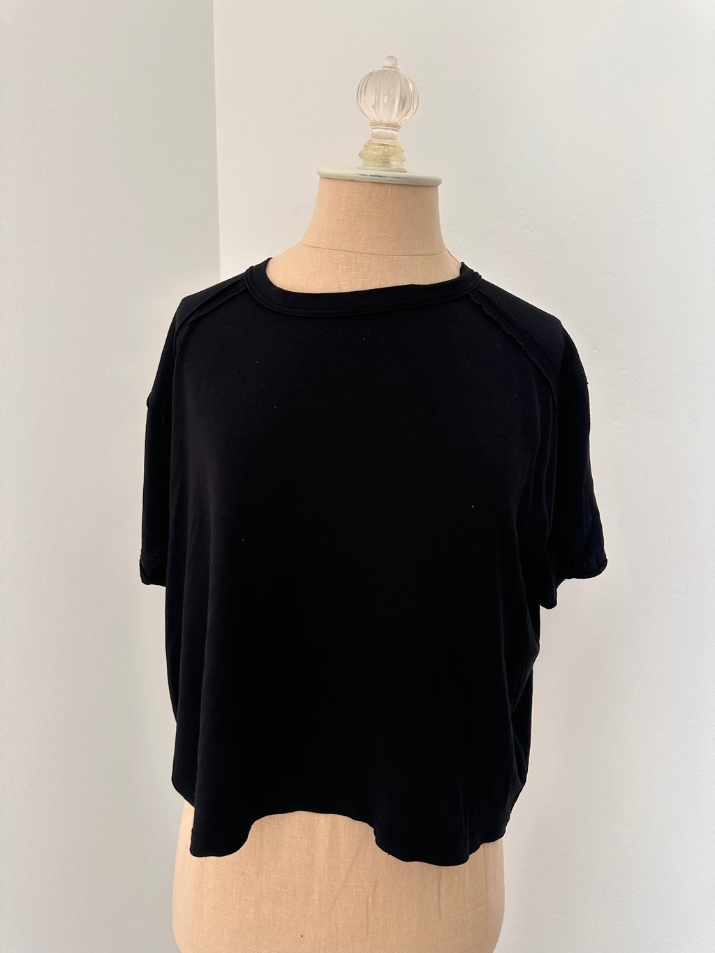 Black Tshirt Cropped (Size large)