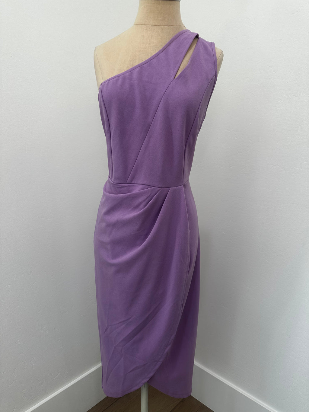 Purple Dress New With Tag ( Size Large )