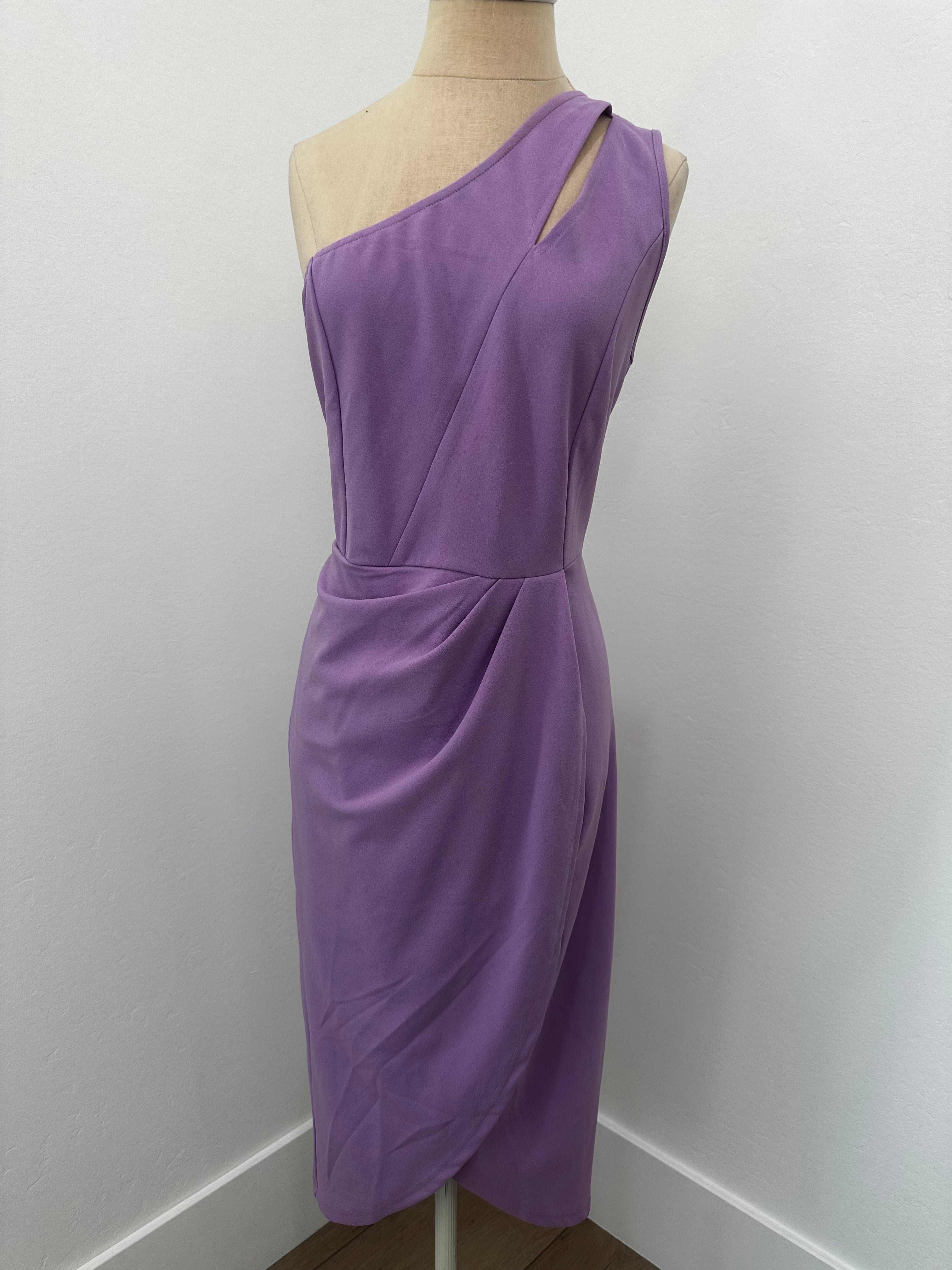 Purple Dress New With Tag ( Size Large )