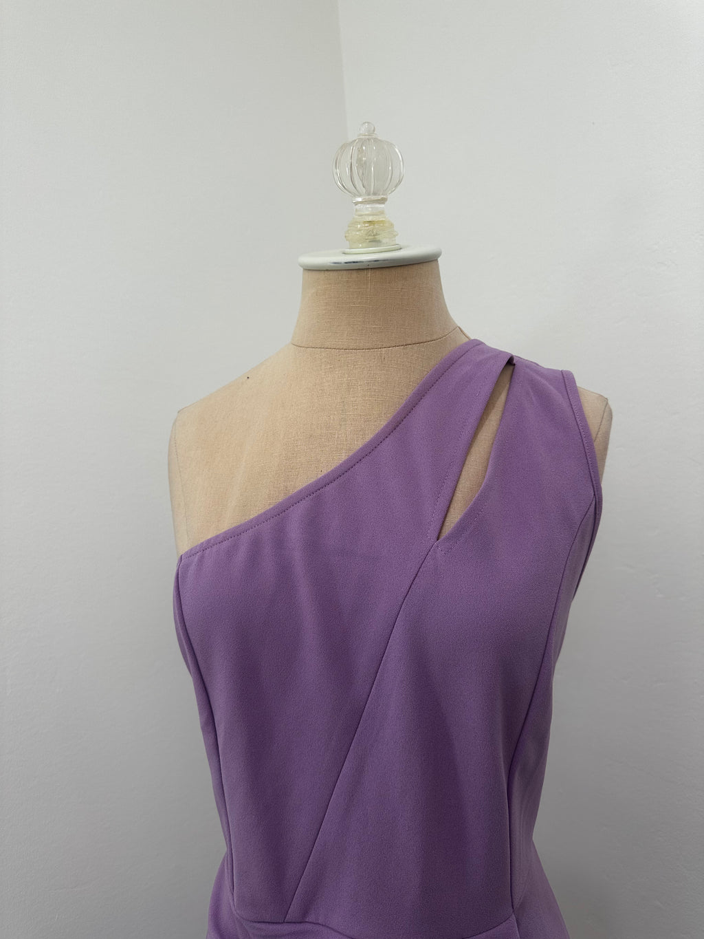 Purple Dress New With Tag ( Size Large )