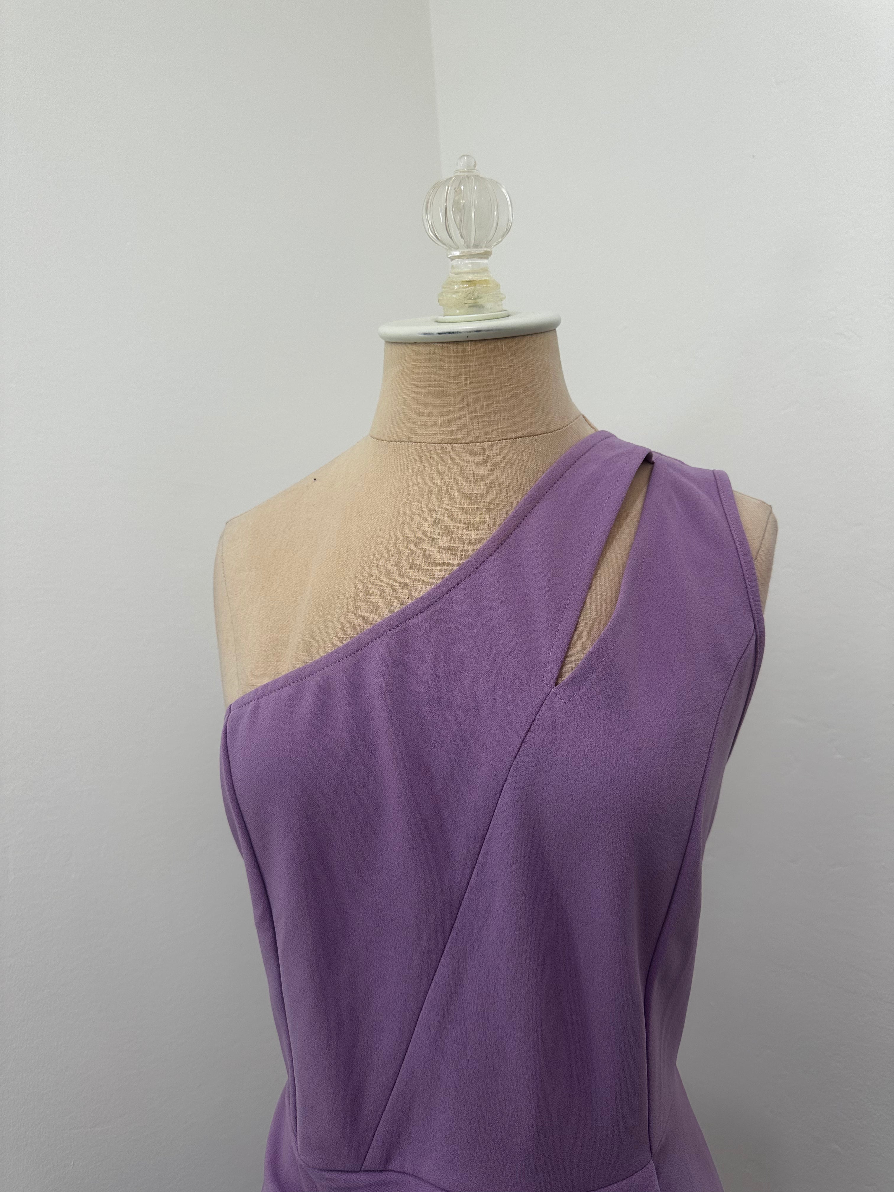 Purple Dress New With Tag ( Size Large )