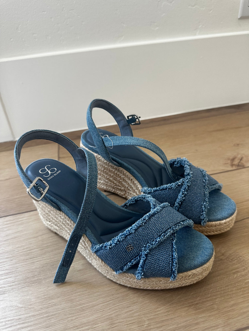 Blue Wedge Heels (Size 7.5)
