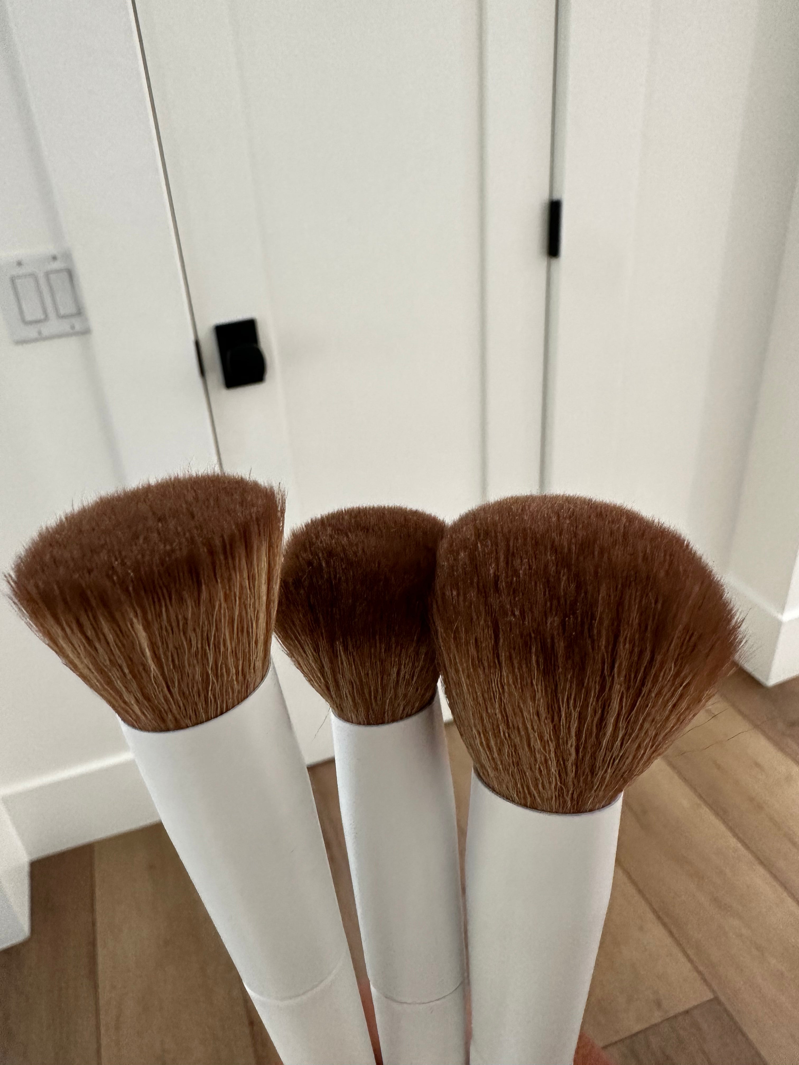 10 Make Up Brush Set
