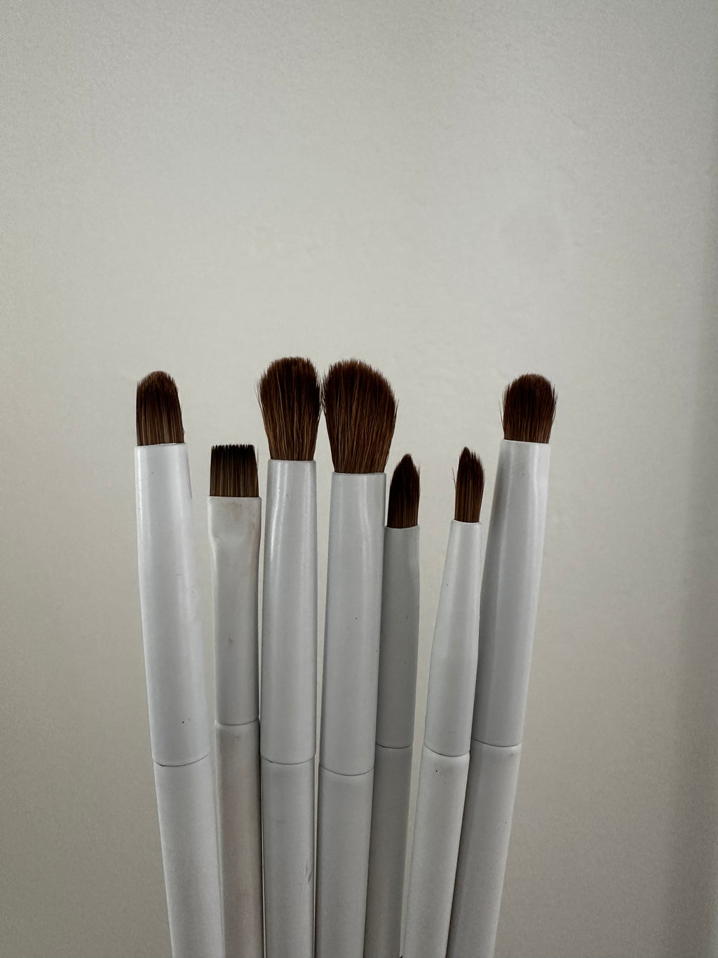 10 Make Up Brush Set