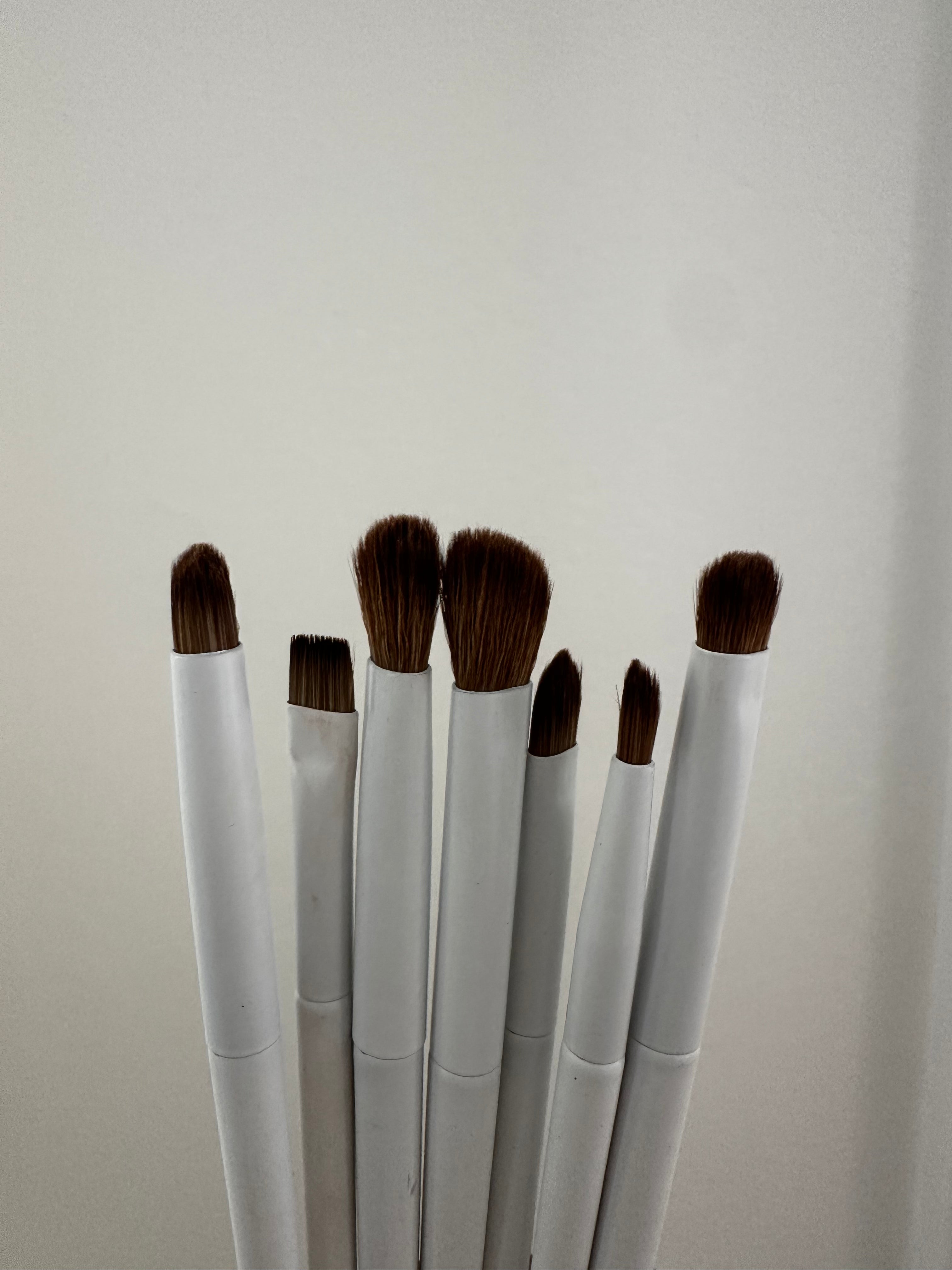 10 Make Up Brush Set