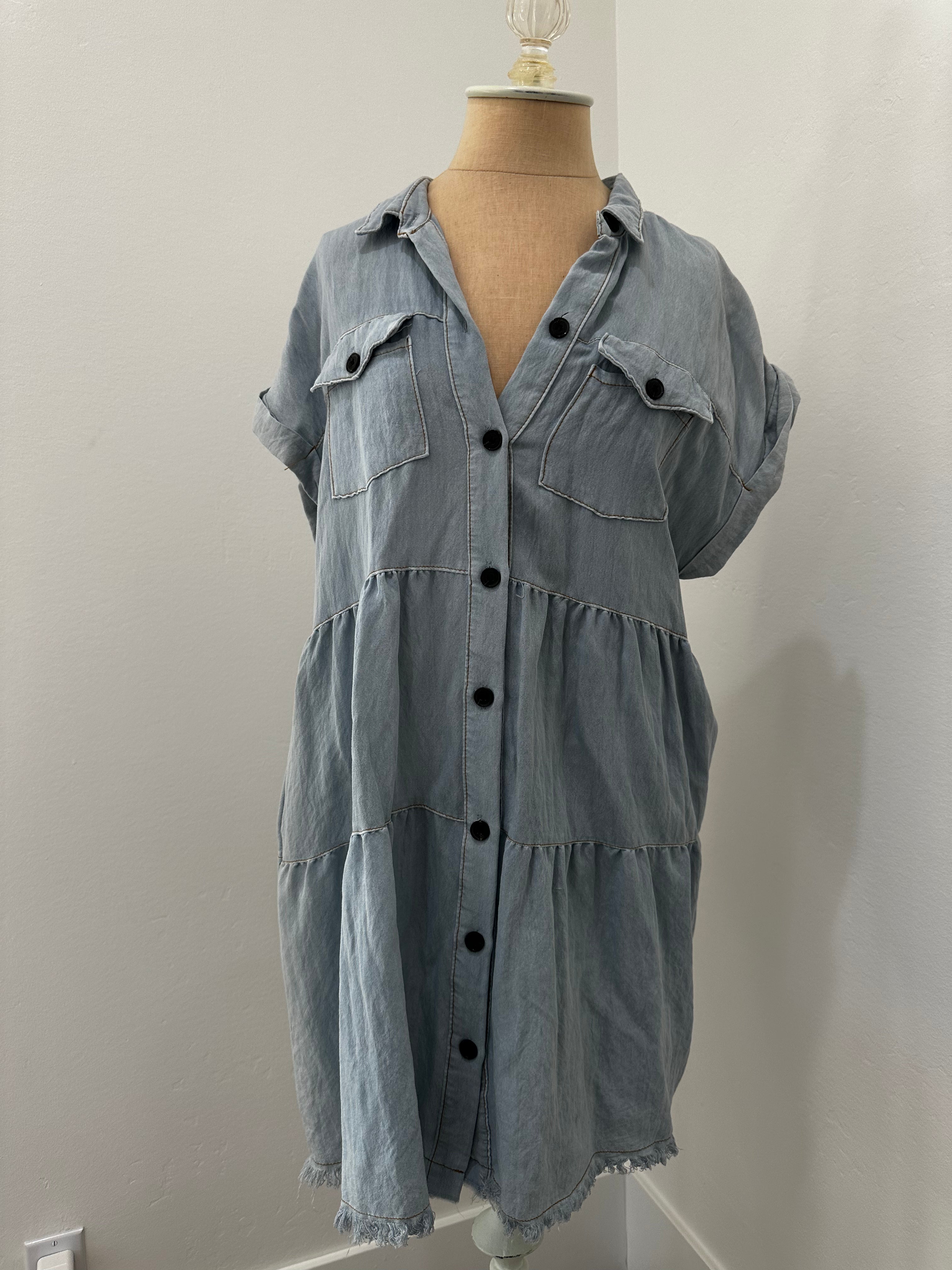 Denim Button Up Dress (SIze Medium)