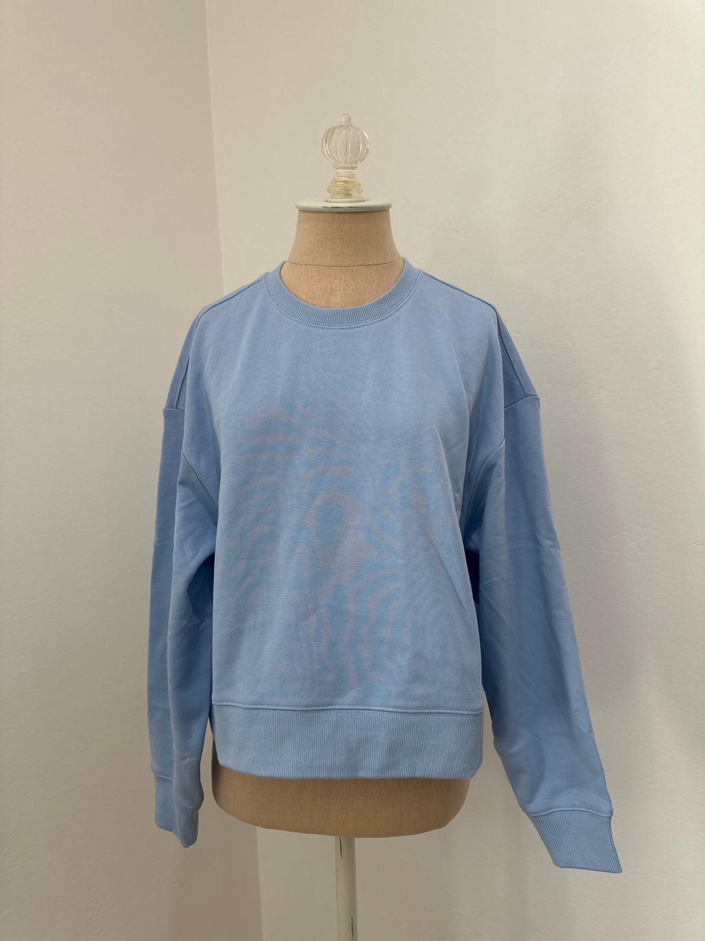 Blue Sweatshirt (Size Small)