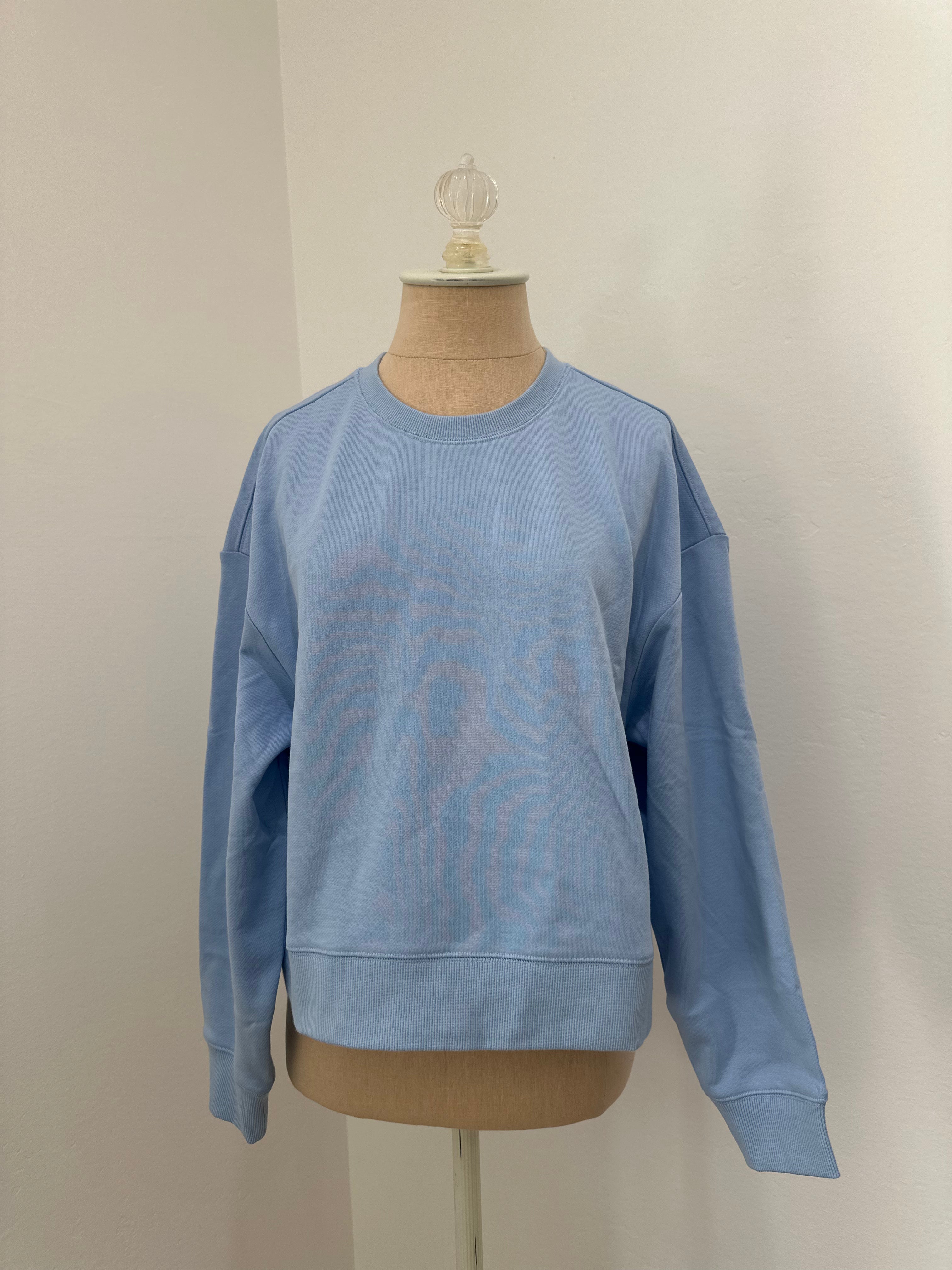 Blue Sweatshirt (Size Small)