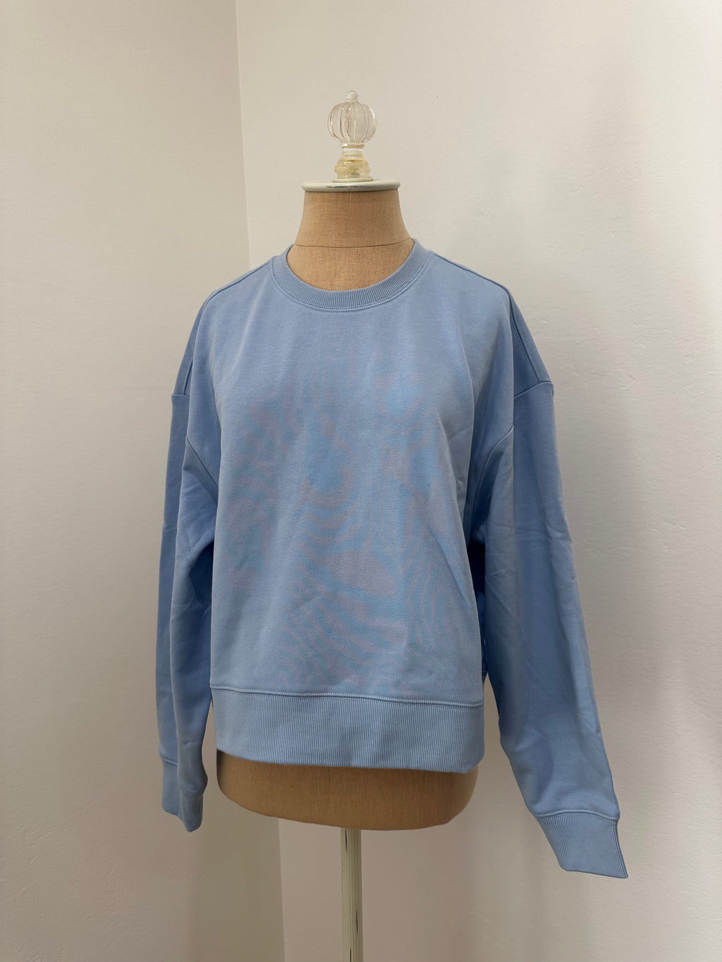 Blue Sweatshirt (Size Small)