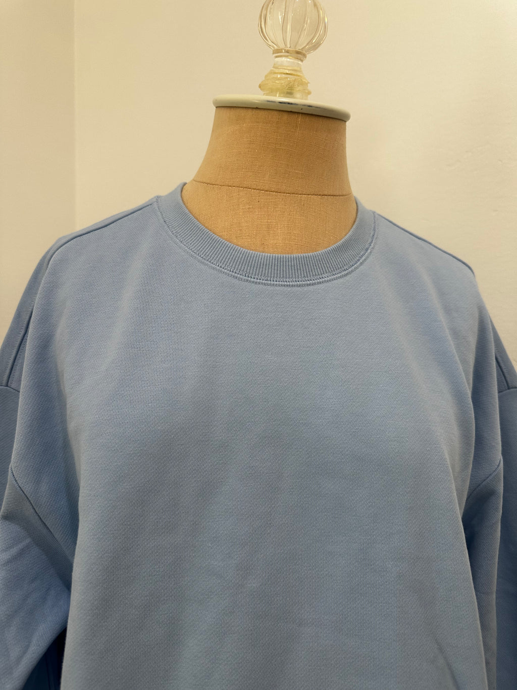 Blue Sweatshirt (Size Small)