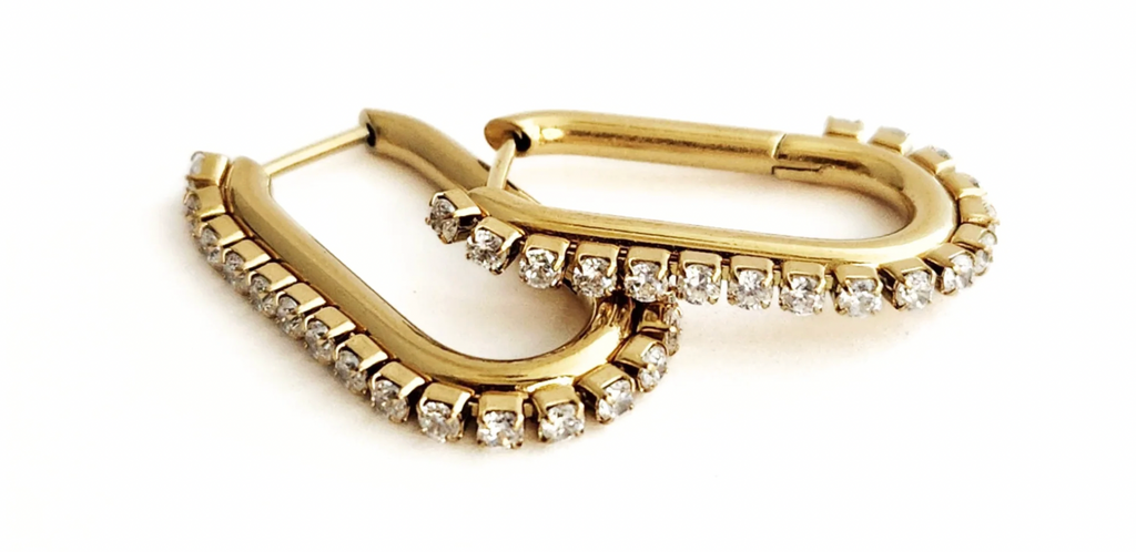 Janine Hoops New
