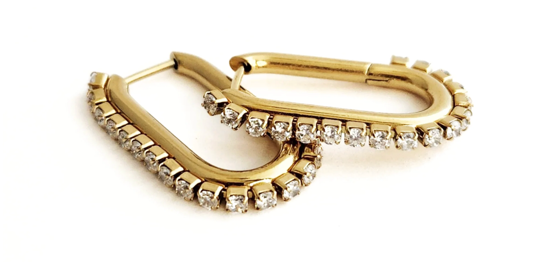 Janine Hoops New